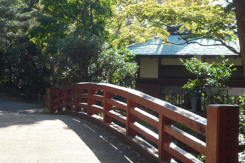 P1180928　三島楽寿園にて