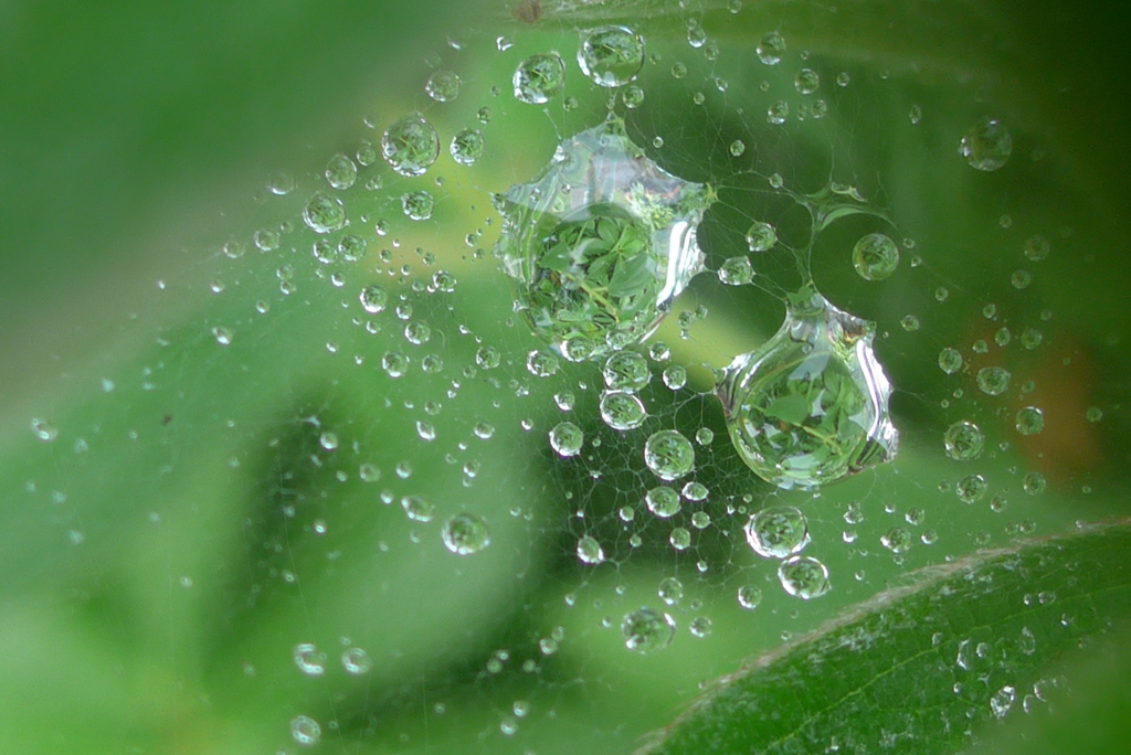 水滴