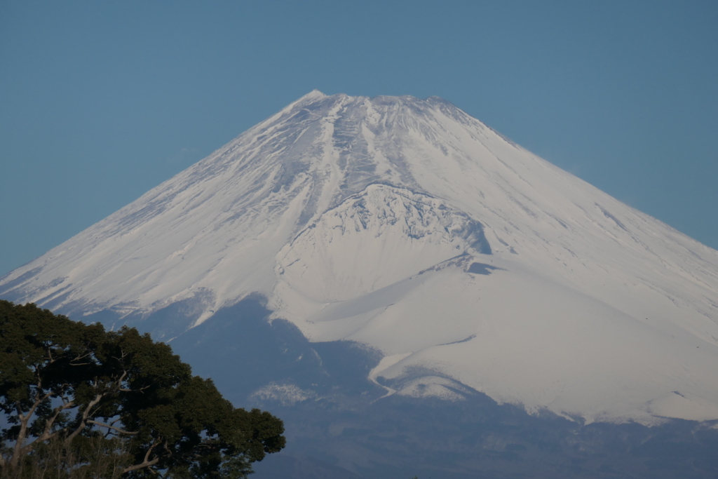 P1000666　1月31日 今朝の富士山