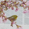 P1130646　会えました♪