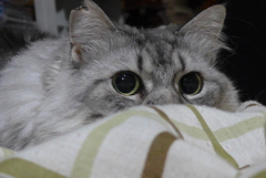 狙ってる…