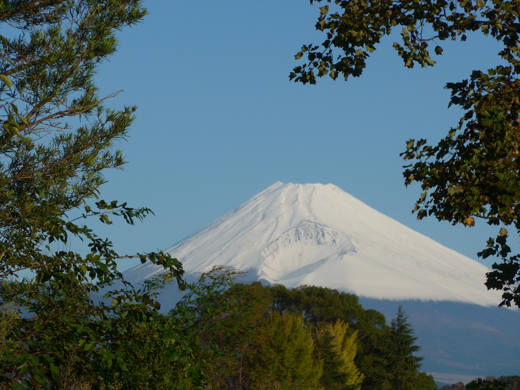 P1120109　10月21日 朝の富士山