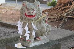 P1069688　2025年元旦