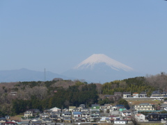 P1070726　３月の富士山