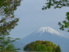 P1080988　緑と富士山