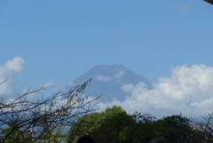 P1280472　10月2日 今日の富士山
