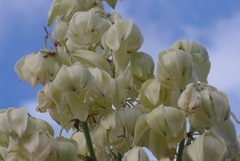 P1280660　