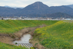 P1320205　春の風景