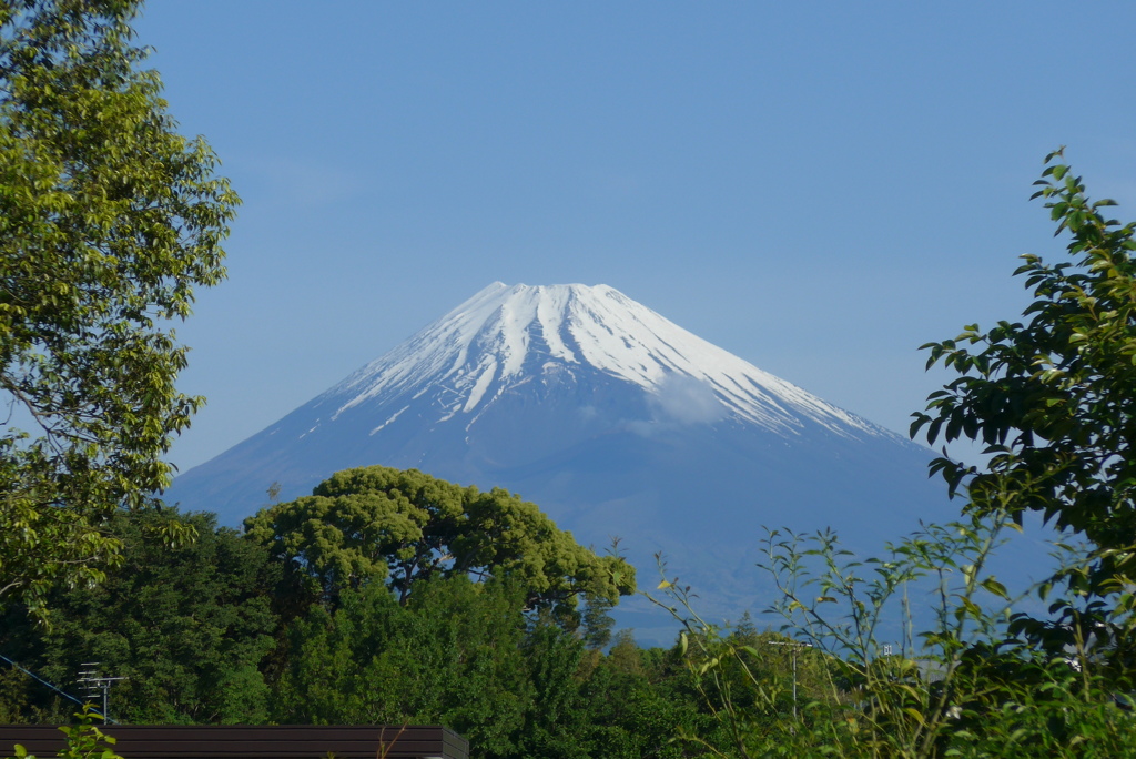 P1270291　5月14日 今朝の富士山