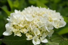 R0352340　初撮りの時～♪