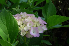 P1270493　いつもの公園で