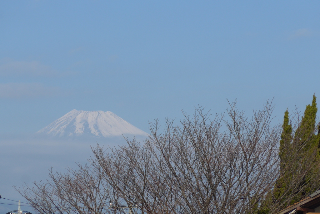 P1290053　1月10日 今日の富士山