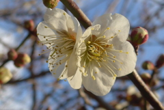 P1370426　澄んだ心