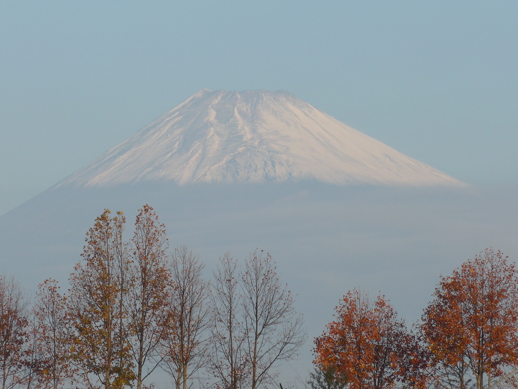 今朝の富士山