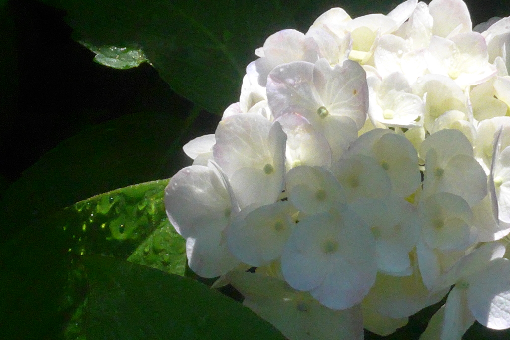 P1230774　陽と陰