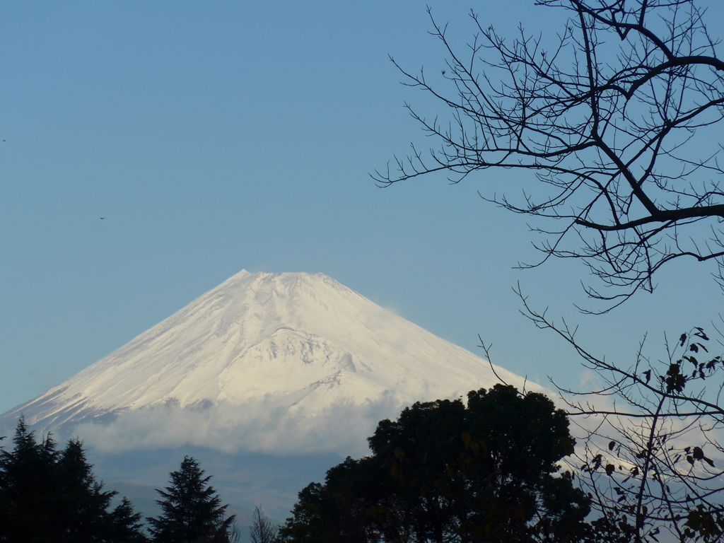 11月24日　朝の富士山