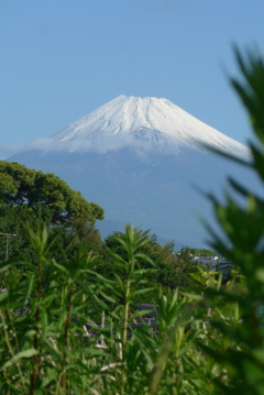 P1330088　5月24日 今朝の富士山