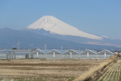 P1200077　2月5日 今日の富士山