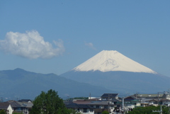 P1320971　5月16日 今日の富士山