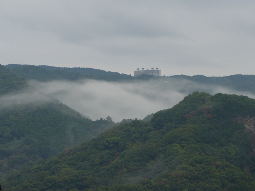 朝霧