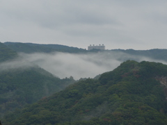 朝霧