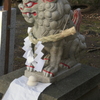 P1000379　狛犬さん