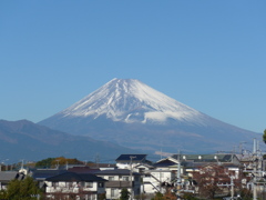 11月21日　富士山