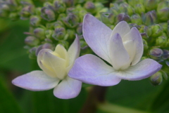 P1160010　はじまり