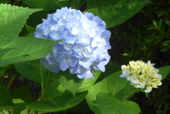 P1270507　いつもの公園で