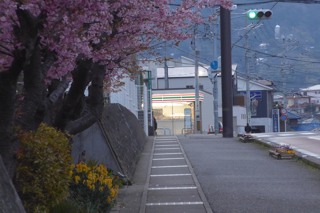 P1290458　日の出前