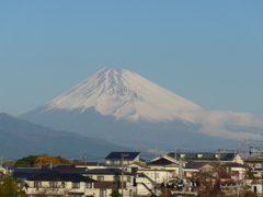 11月27日　朝の富士山