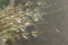 P1120566　おわり…