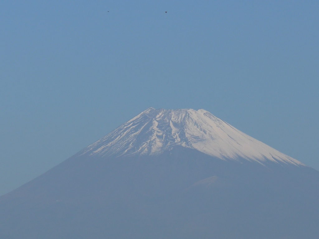 P1180848　11月1日 今日の富士山