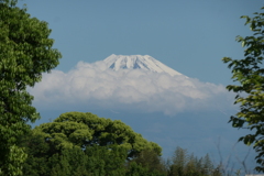 4月28日 今朝の富士山