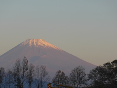 P1120296　11月2日 朝の富士山
