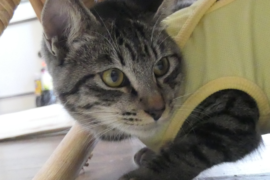 P1080943　経過良好