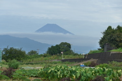 P1180151　9月22日 今朝の富士山