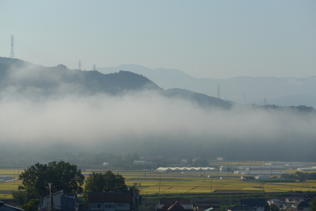 P1250112　ある朝の風景
