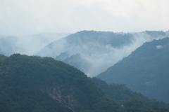 P1046344　雨上がりの朝に