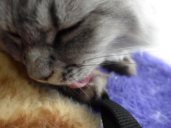 お手入れです。