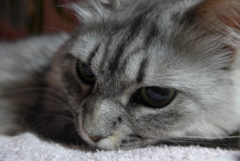 おちこんでます。