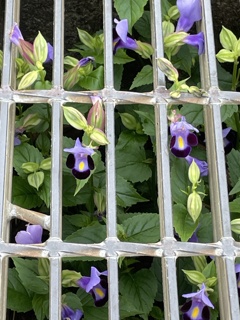 IMG_0260　こんな所に