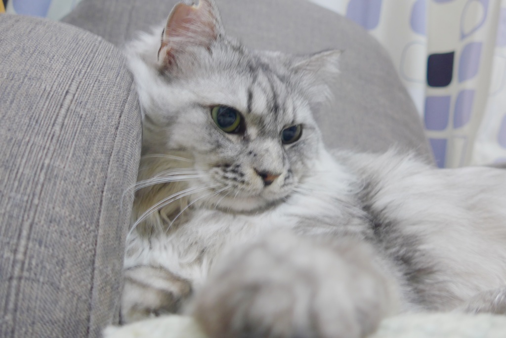 P1160728　ねんねしないの…？