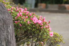 P1035404