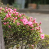 P1035404
