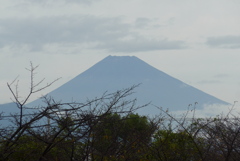 P1360974　10月26日 今日の富士山