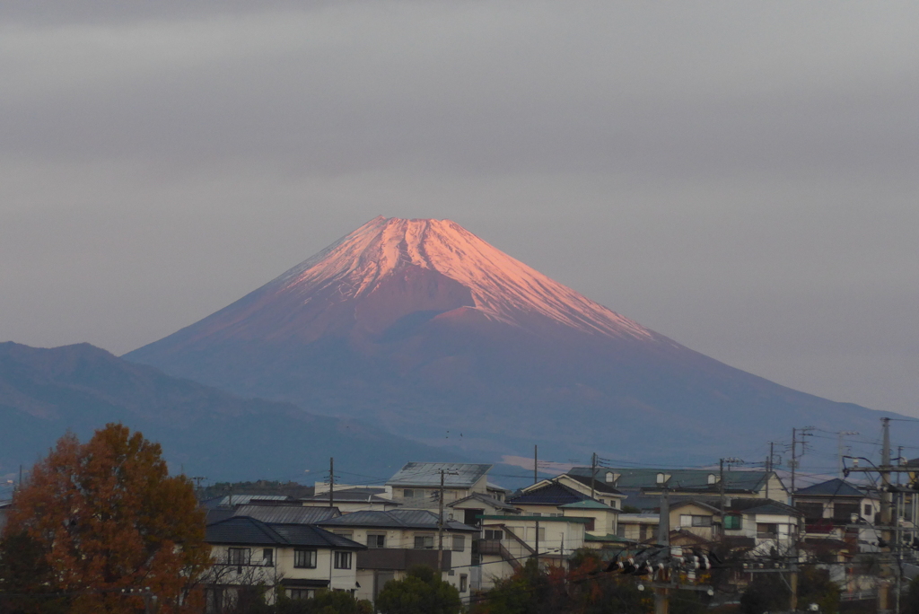 P1370204　12月11日 今朝の富士山