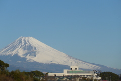 P1290242　2月1日 今朝の富士山