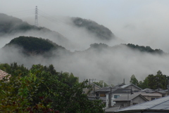 P1340227　雨上がりの朝