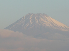 今朝の富士山